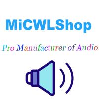 1 Channel Wireless Microphone System